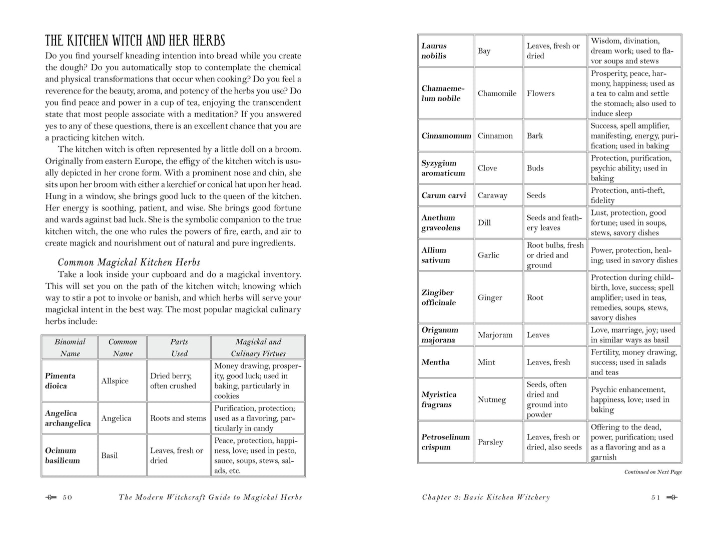 Modern Witchcraft Guide to Magickal Herbs