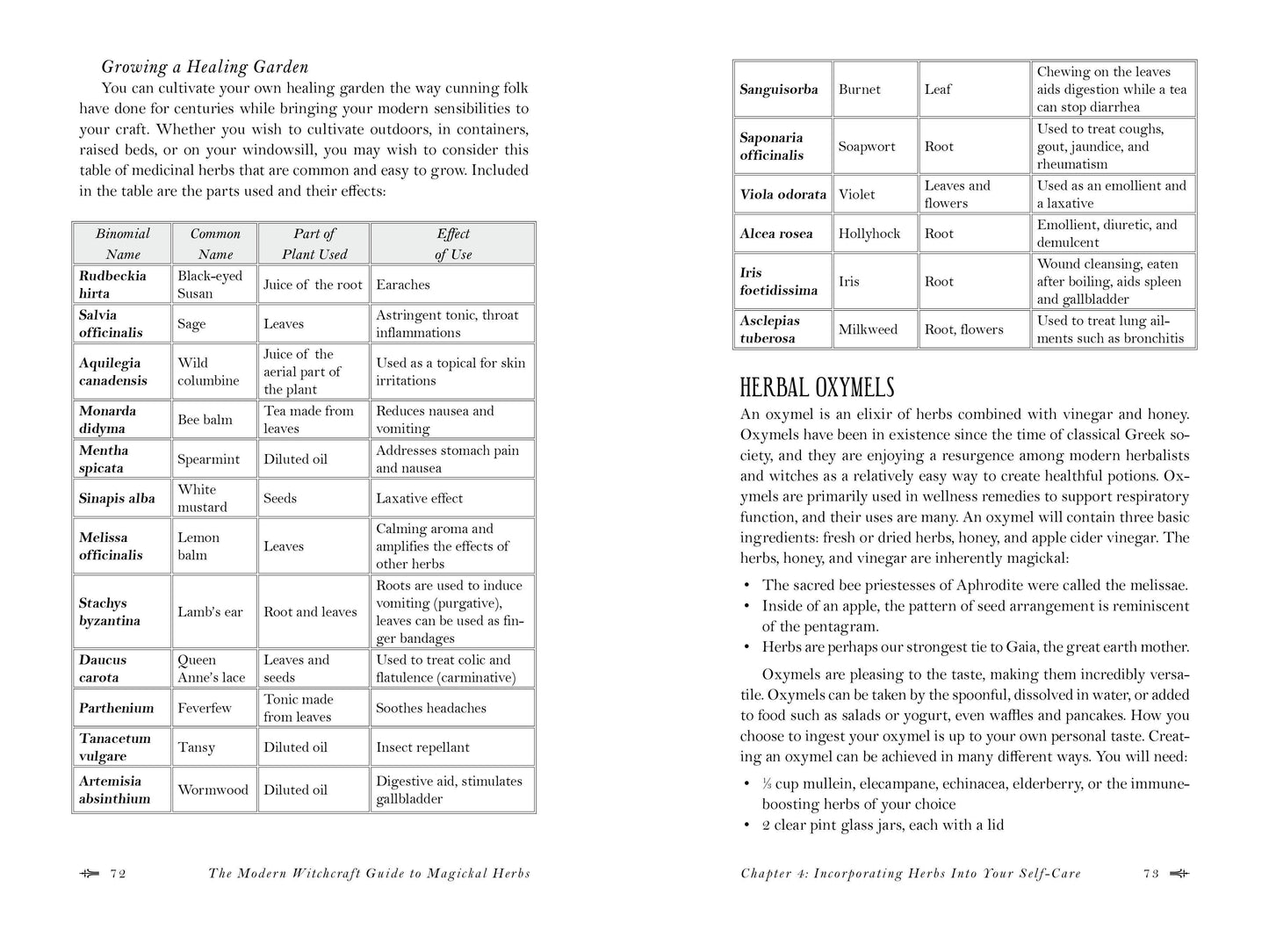 Modern Witchcraft Guide to Magickal Herbs
