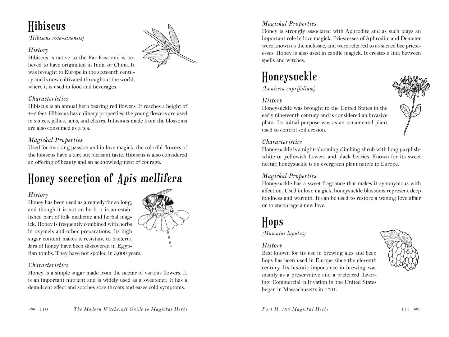 Modern Witchcraft Guide to Magickal Herbs
