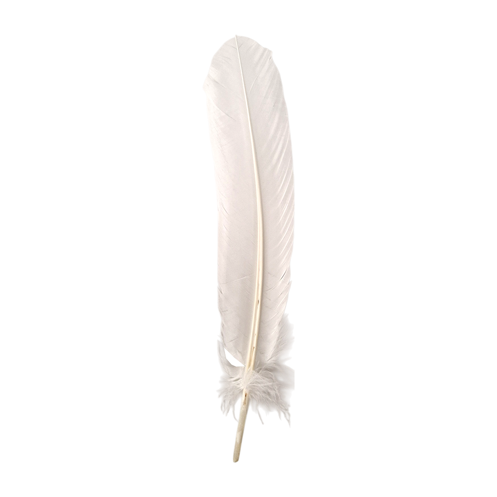 White Turkey Feather 10-12 Inch