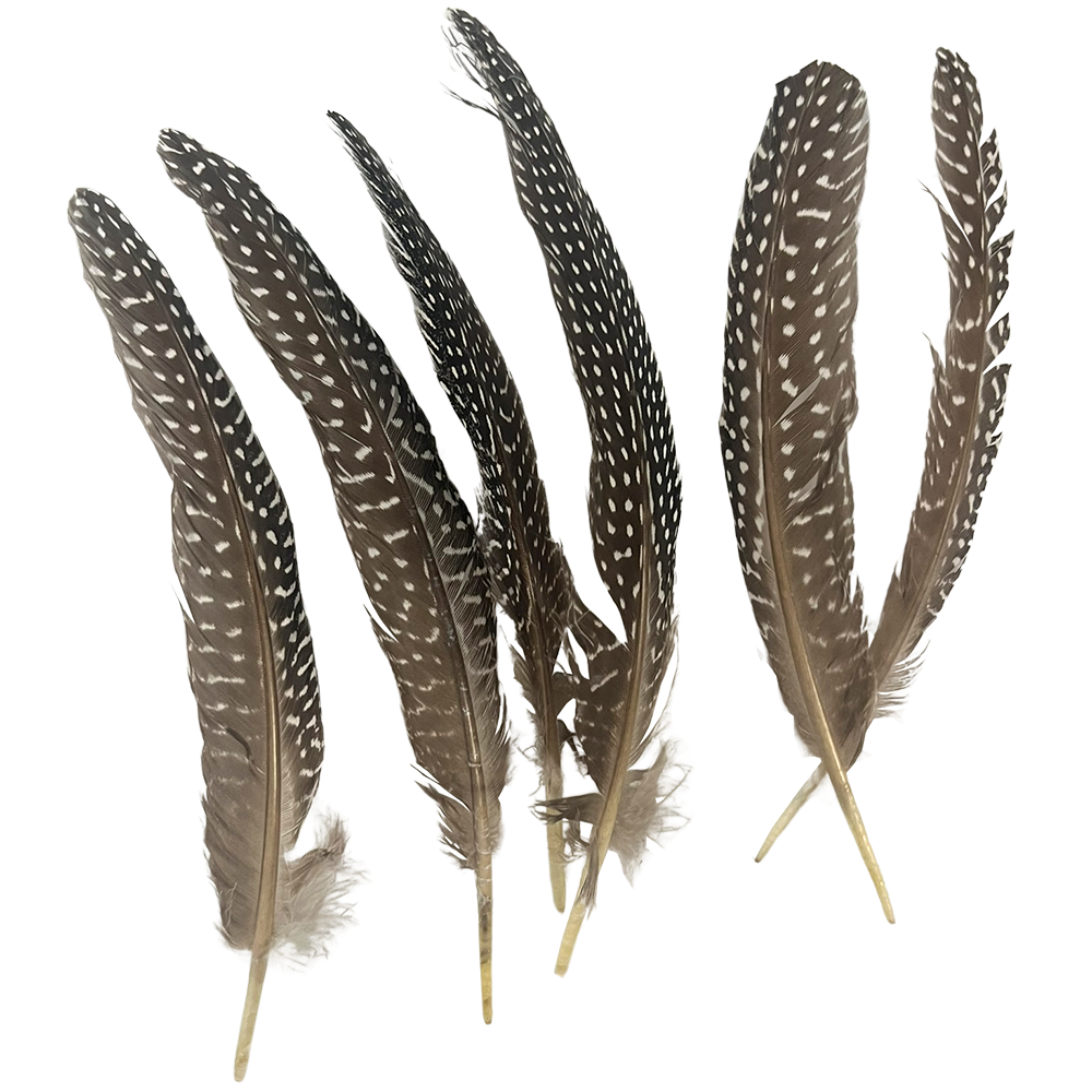 Natural Turkey Feather 6-8 Inch