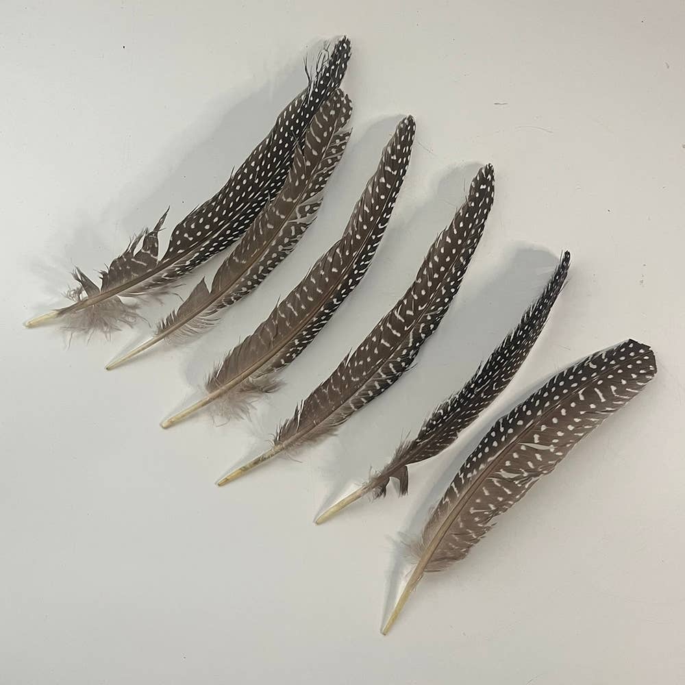 Natural Turkey Feather 6-8 Inch
