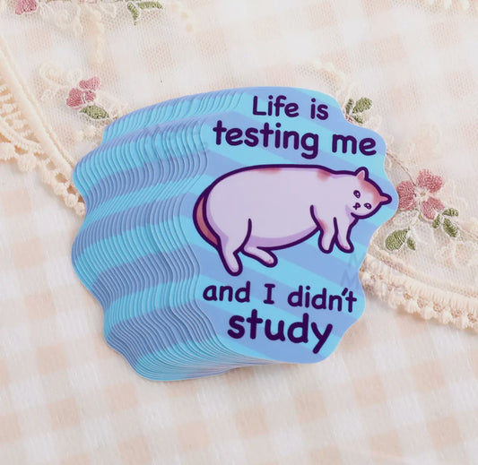 Life Is Testing Me | Funny Cat Meme Vinyl Sticker