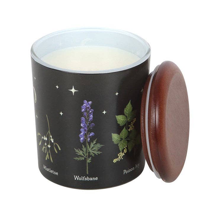 Poisonous Plants Deadly Nightshade Scented Candle