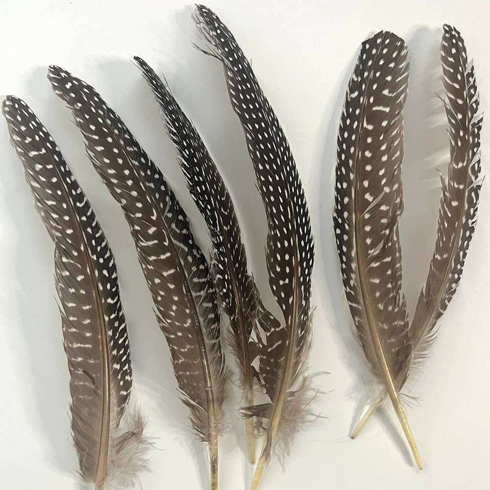 Natural Turkey Feather 6-8 Inch