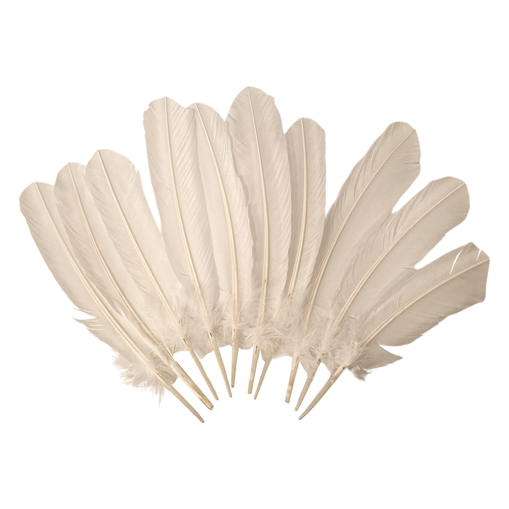 White Turkey Feather 10-12 Inch