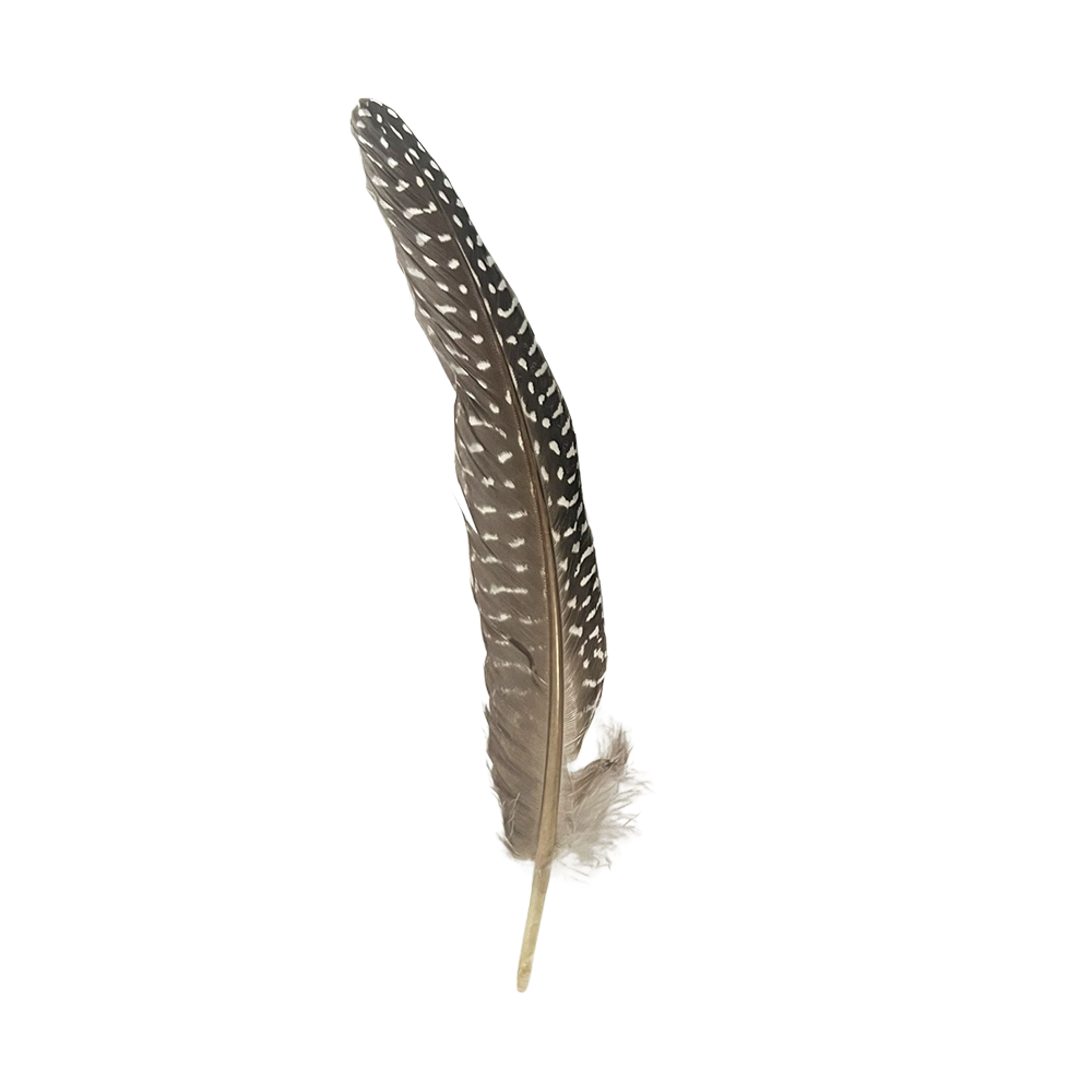 Natural Turkey Feather 6-8 Inch
