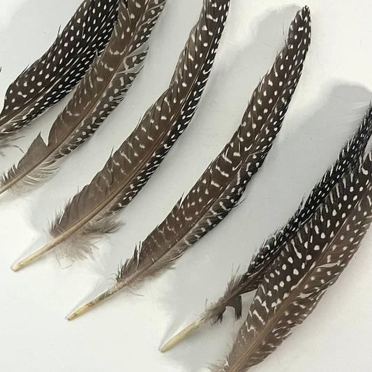 Natural Turkey Feather 6-8 Inch