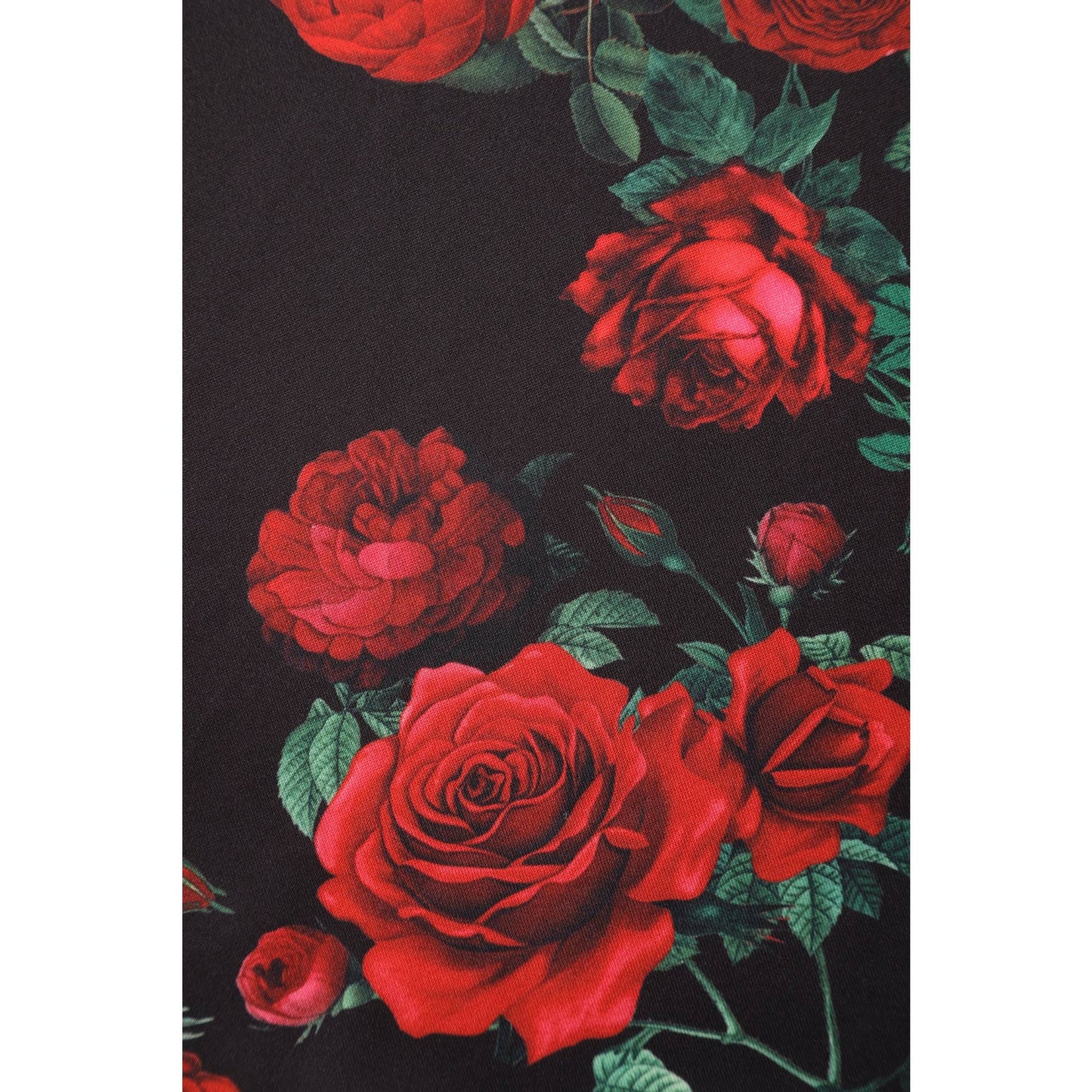 Debra Long Sleeves Stretchy Dress Black Red Rose Print