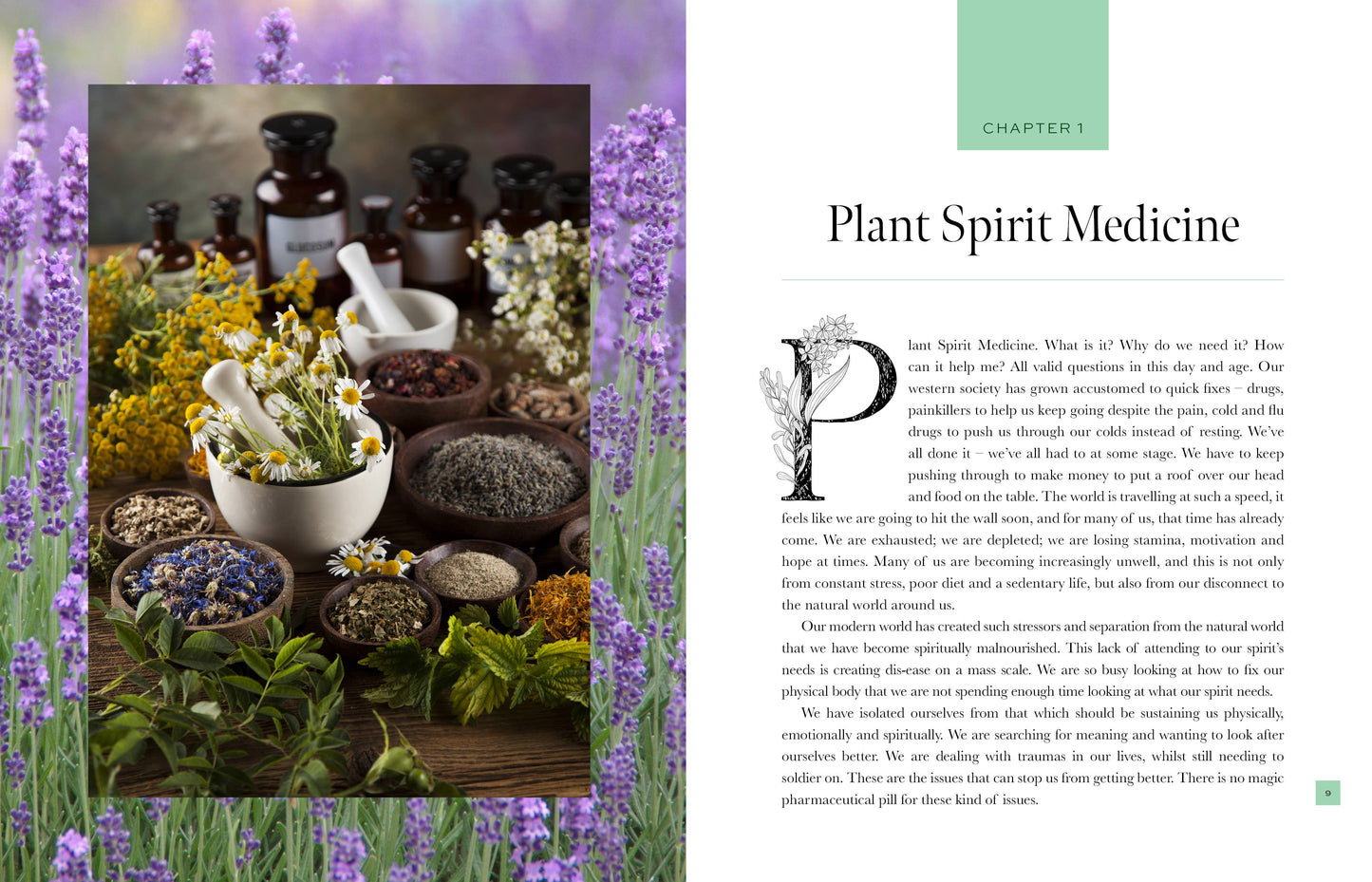 Plant Spirit Medicine