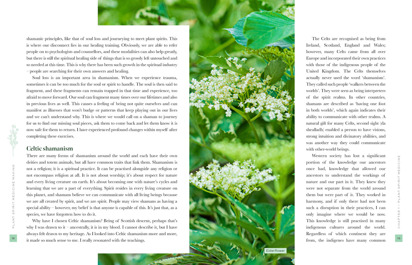 Plant Spirit Medicine